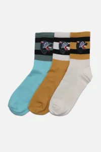 Trendyol Multicolor Men's 3-Pack Socks #4785007