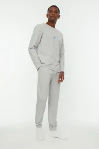 Trendyol Gray Men's Regular Fit Printed Knitted Pajamas Set #4654708