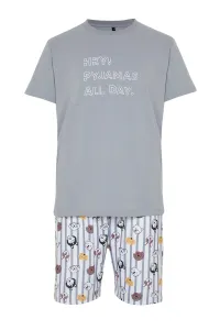 Trendyol Men's Gray Regular Fit Printed Knitted Pajamas Set