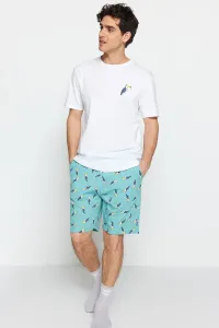 Trendyol Green Men's Regular Fit Knitted Pajamas Set #5894999