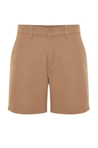 Trendyol Mink Men's Regular Fit Shorts Bermuda