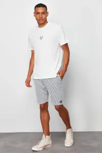 Trendyol Navy Striped Regular/Regular Fit Shorts