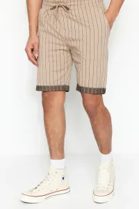 Trendyol Beige Men's Regular Mid-Length/Regular Cut Striped Shorts