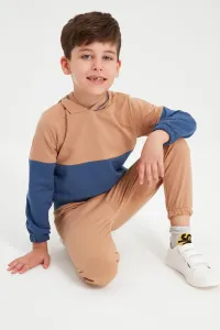 Trendyol Camel Color Block Hooded Boy Knitted Slim Tracksuit Set #4859897