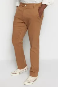 Trendyol Plus Size Camel Men's Regular Fit Comfortable Trousers
