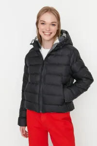 Trendyol Winter Jacket - Black - Puffer #756163