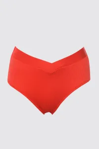 Trendyol Red V-cut, Textured High Waist Bikini Bottoms with Regular Legs