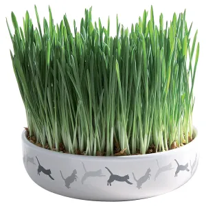 Trixie keramická miska s trávou pre mačky - Ø 15 x 4 cm