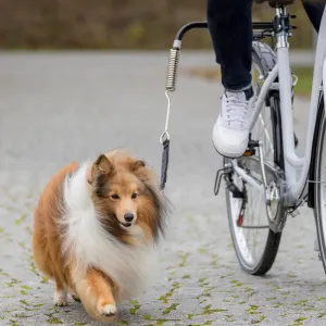TRIXIE DOG BIKE SET DE LUXE S-M Vodiaci komplet na bicykel, čierna, veľkosť