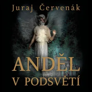 Anděl v podsvětí - Juraj Červenák (mp3 audiokniha)