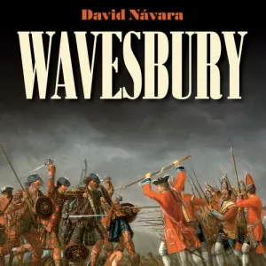 Wavesbury - David Návara (mp3 audiokniha)