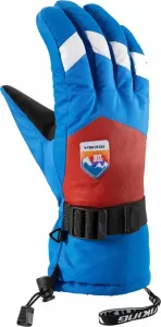 Viking Brother Louis Gloves Multicolour/Orange 10 Lyžiarske rukavice