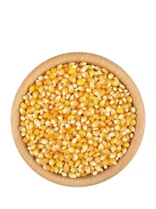 Pukancová kukurica - Hmotnosť: 500 g