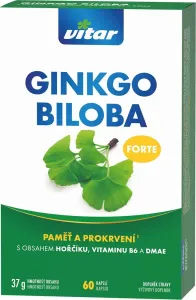 Revital Ginkgo Biloba Forte 60 kapsúl
