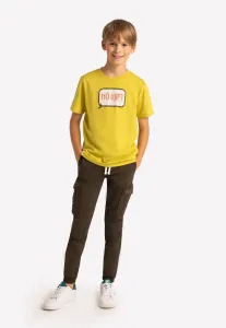Volcano Kids's Regular T-Shirt T-Nowifi Junior B02414-S22 #4545702
