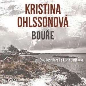 Bouře - Kristina Ohlssonová (mp3 audiokniha)