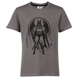 Warner Bros DAK Chlapčenské tričko, sivá, veľkosť #415842