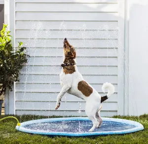 Striekacia vodná hracia podložka pre psov