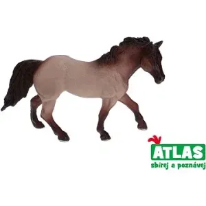 Atlas Kôň #7008198