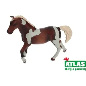 Atlas Kôň #5503644
