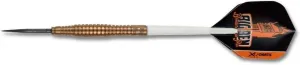 Šípky XQ MAX Steel Brass BVDP 21g varianta: 21