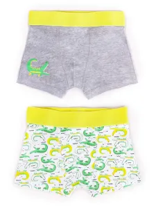 Yoclub Kids's Cotton Boys' Boxer Briefs Underwear 2-pack BMB-0011C-AA30-001 #734851