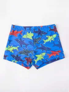 Yoclub Kids's Boy's Swimming Shorts LKS-0055C-A100 #4575483
