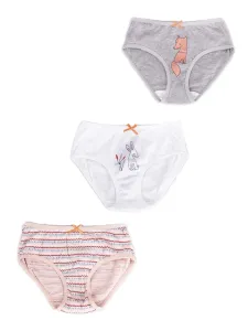 Yoclub Kids's Cotton Girls' Briefs Underwear 3-pack BMD-0031G-AA20-001 #734779