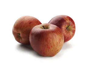 Ovocná náplň Jablko Frutafill 5 kg - Zeelandia