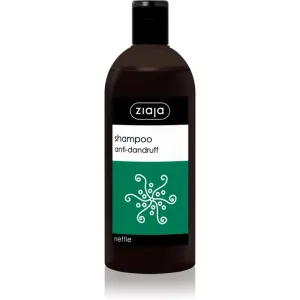 Ziaja Family Shampoo šampón proti lupinám 500 ml #870204