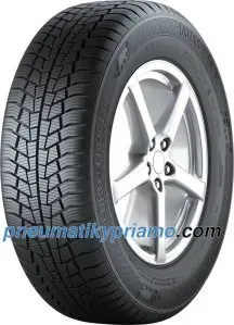 Gislaved Euro*Frost 6 ( 175/65 R15 84T )