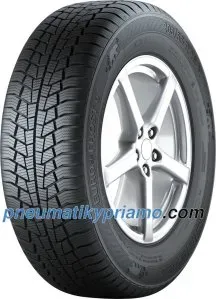 Gislaved Euro*Frost 6 ( 215/60 R17 96H )