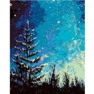 Strom a nočná obloha v lese, 80 × 100 cm, plátno napnuté na rám