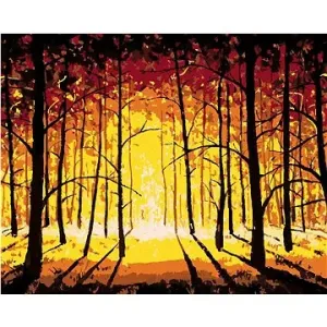 Západ slnka v jesennom lese, 80×100 cm, bez rámu a bez vypnutia plátna