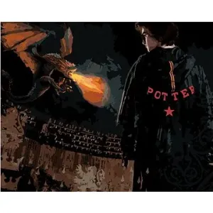 Harry Potter v aréne s drakom, 40 × 50 cm, plátno napnuté na rám