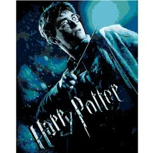 Plagát Harry Potter a princ dvojakej krvi, 40×50 cm, bez rámu a bez vypnutia plátna