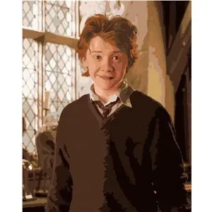 Ron v učebni (Harry Potter), 40×50 cm, bez rámu a bez vypnutia plátna
