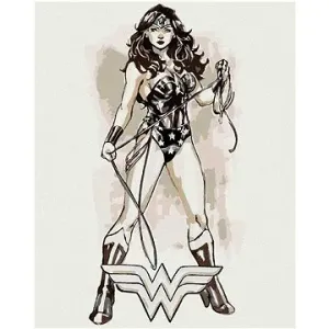 Wonder Woman čiernobiely plagát II, 40×50 cm, bez rámu a bez vypnutia plátna