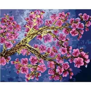 Maľovanie podľa čísel - Kvitnúce vetvy sakury