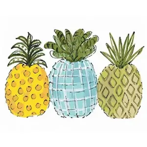 Farebné ananásy (Haley Bush), 40 × 50 cm, bez rámu a bez vypnutia plátna