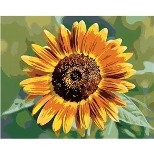 Kvet slnečnice, 80 × 100 cm, bez rámu a bez napnutia plátna