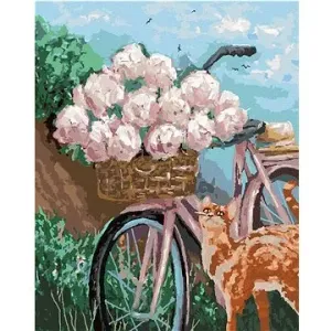 Pivonky v košíku na bicykli, 40×50 cm, vypnuté plátno na rám