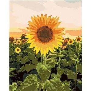 Úžasná slnečnica, 80 × 100 cm, plátno napnuté na rám