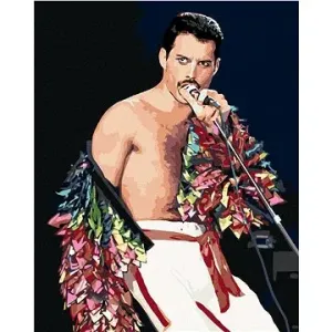 Maľovanie podľa čísel – Freddie Mercury