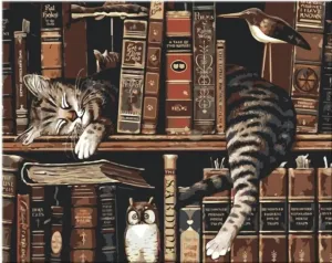 Zuty Maľovanie podľa čísiel Mačka v knižnici