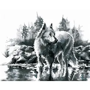 Biely vlk, 40 × 50 cm, vypnuté plátno na rám