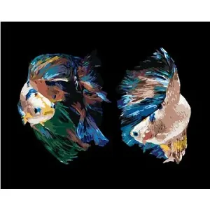 Dve ryby bojovnice, 80 × 100 cm, plátno napnuté na rám
