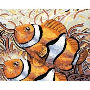 Dve ryby Nemo, 40 × 50 cm, bez rámu a bez napnutia plátna