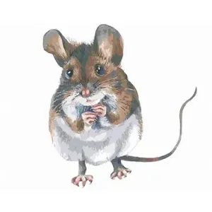Hnedá myška, 80 × 100 cm, plátno napnuté na rám