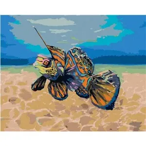 Mandarínková rybka, 40×50 cm, vypnuté plátno na rám